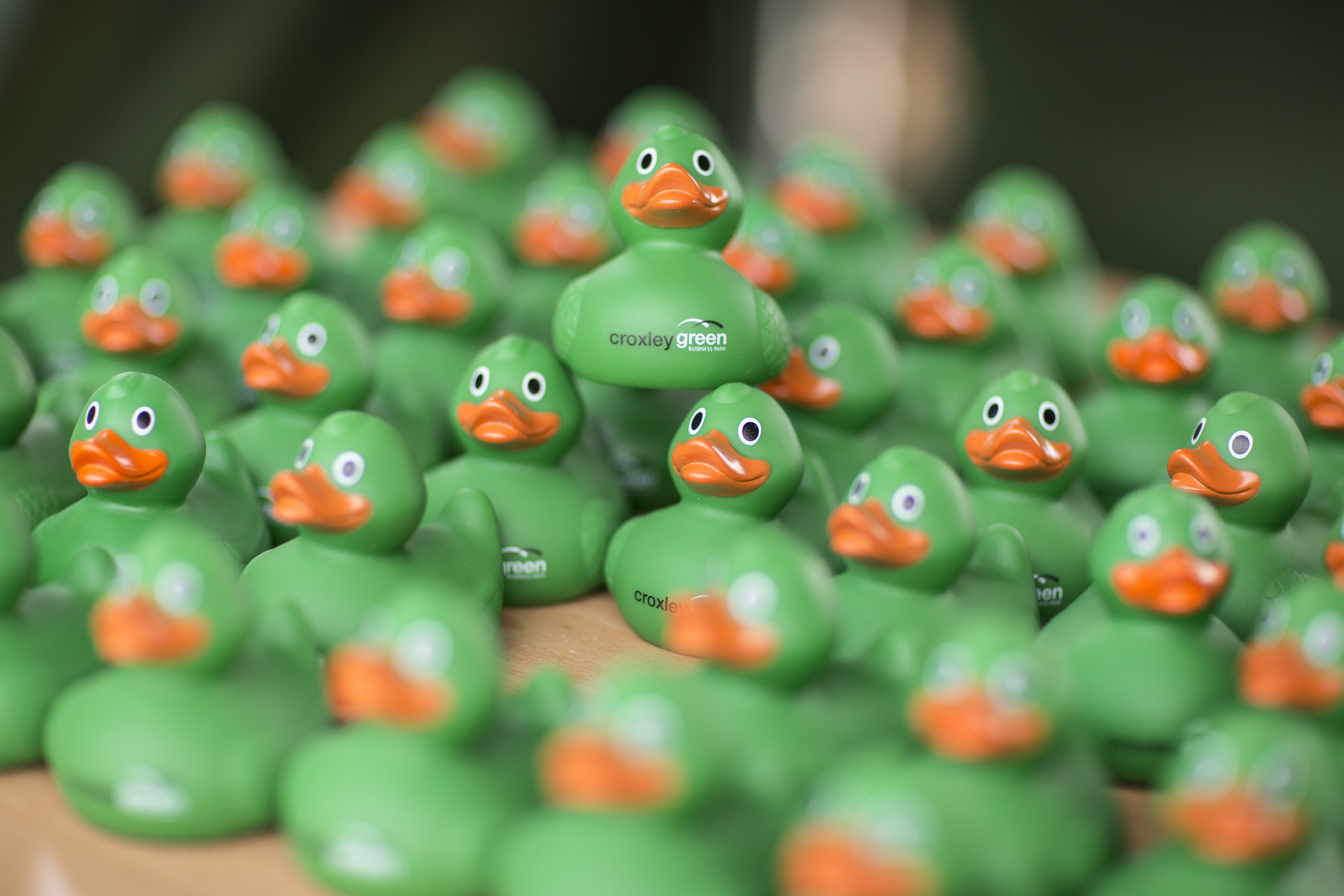Duck Herding Event | Rubber Duck Prizes