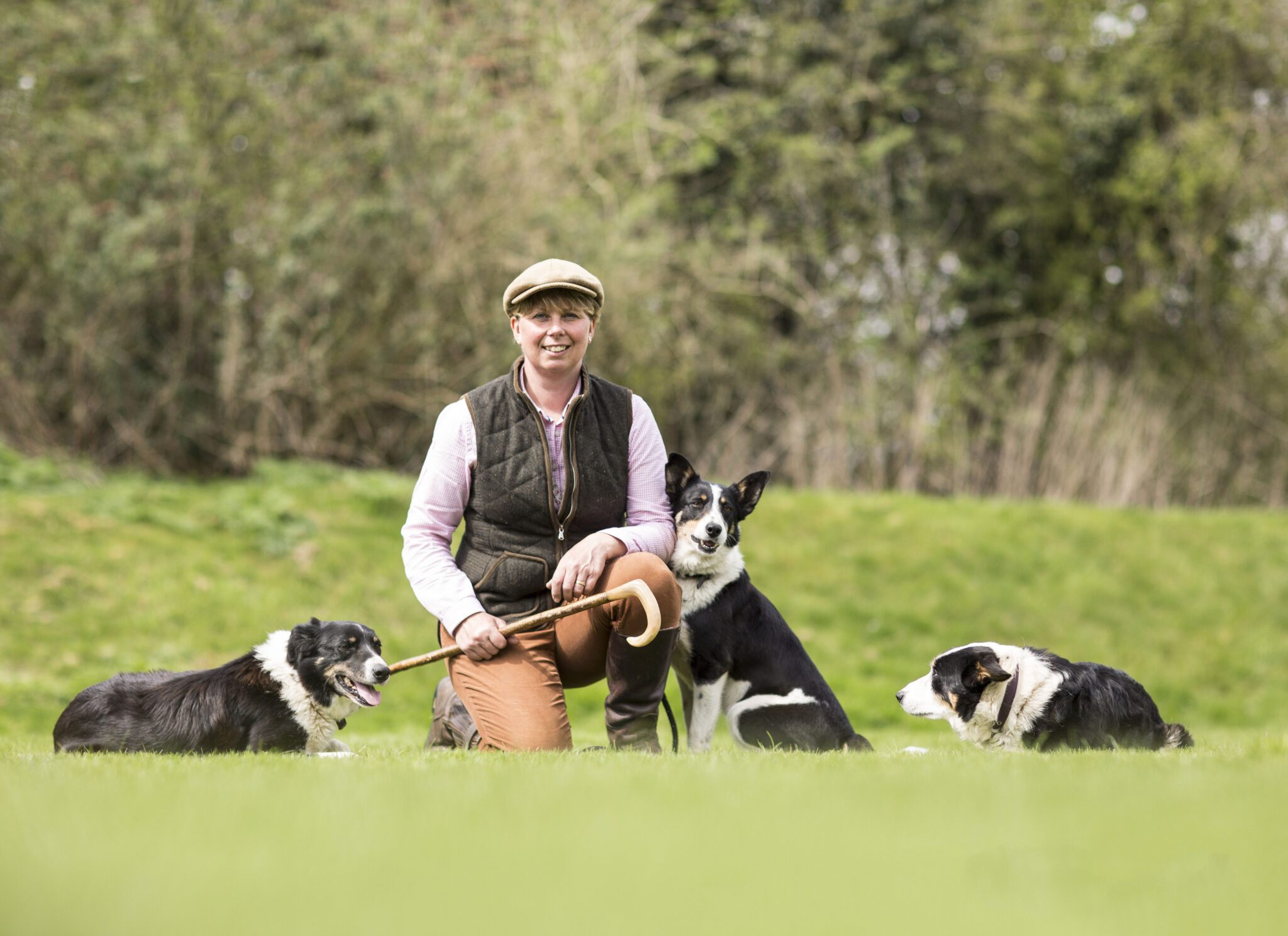 Duck Herding Event | Sheep dog and Farmer