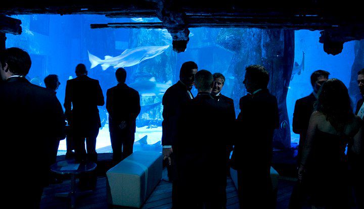 GOSH Charity Event - London Aquarium